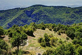 A view near Leshten