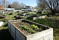 * Nomination View of Jardin des Agrions, Quai de l'Ouest, in Lille, France --Velvet 06:30, 14 April 2023 (UTC) * Promotion  Support Good quality. --Ermell 10:01, 15 April 2023 (UTC)