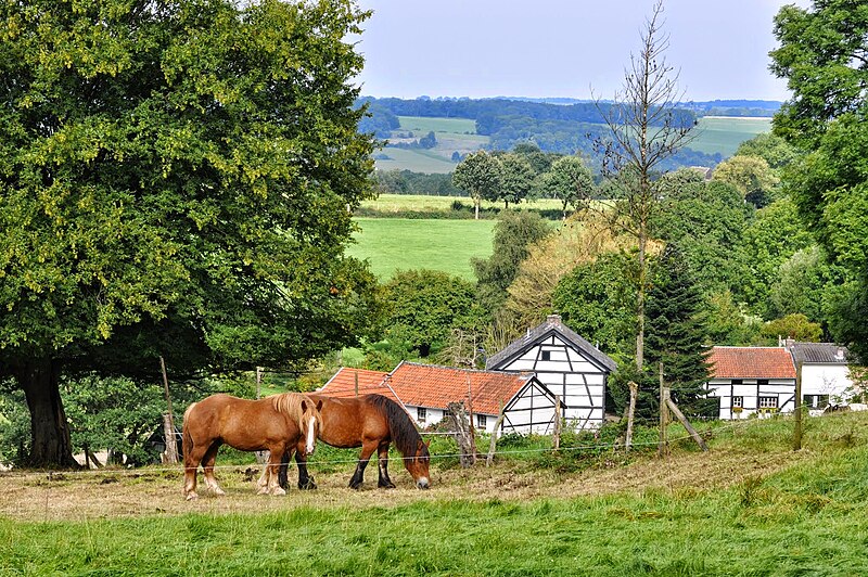 File:Limburge uitzichten.jpg