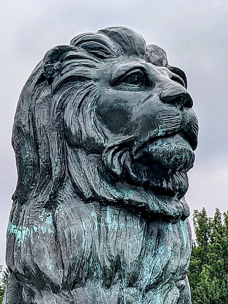 File:Lion (52266622310).jpg