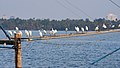 * Nomination Little egrets (Egretta Garzetta) lined up on boom of Chinese fishing net, awaiting the catch. Ashtamudi Lake --Tagooty 03:52, 20 March 2022 (UTC) * Promotion Good quality. --Mathieu Kappler 04:43, 20 March 2022 (UTC)