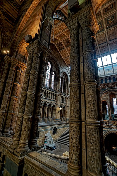 File:London - Cromwell Road - Natural History Museum 1881 by Alfred Waterhouse - View Down into the Central Hall on Charles Darwin's Statue.jpg