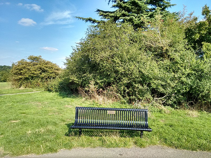 File:Long shot of the bench (OpenBenches 8733-1).jpg