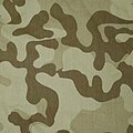 File:Buntfarbenanstrich 1918 german empire camouflage seamless CC BY-SA 4.0  by Grasyl.svg - Wikimedia Commons