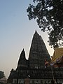 Mahabodhi temple and around IRCTC 2017 (94).jpg