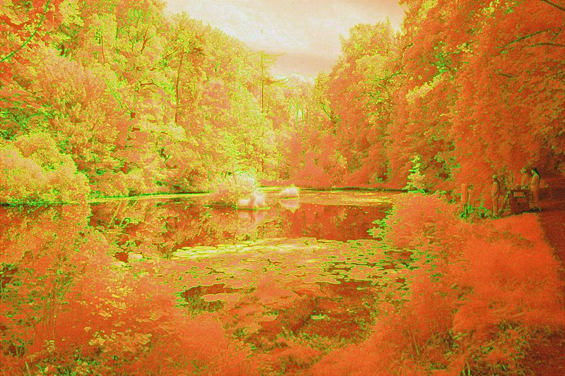 File:Manipulated pic of the Abbot’s Pool, Abbots Leigh. - panoramio (1).jpg