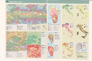 300px map flora and vegetation 1989   touring club italiano cart tem 028