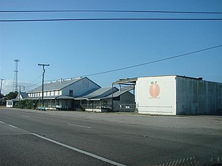 <span class="mw-page-title-main">Marion S. Whaley Citrus Packing House</span> United States historic place