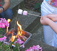 Barbecue Ext?rieur Cuisson Du Barbecue Hippie Dans Le Tablier Avec Des  Ustensiles En M?tal Pour Le Gril De Barbecue Homme Barbu a Photo stock -  Image du restaurant, tablier: 147120448