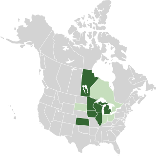 <span class="mw-page-title-main">Midwestern Greenhouse Gas Reduction Accord</span> Regional agreement to combat climate change