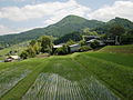 2013年6月16日 (日) 11:50時点における版のサムネイル