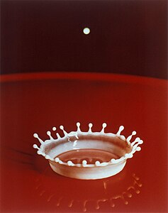 Milk Drop Coronet, by Doc Edgerton