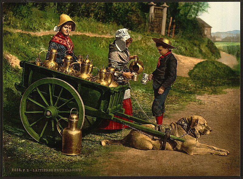 File:Milksellers, Brussels, Belgium LOC 3886394035.jpg