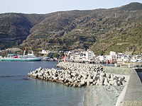 A ferry from Saganoseki pulls into Misaki Port