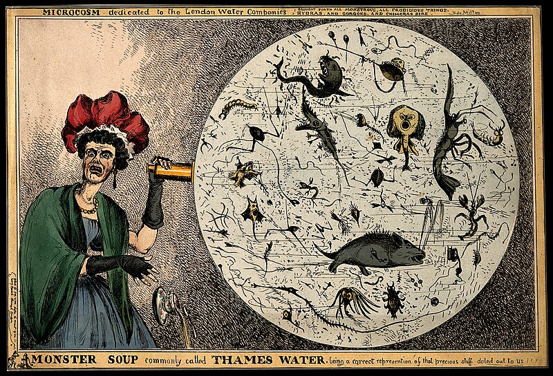 File:Monster Soup commonly called Thames Water. Wellcome V0011218.jpg