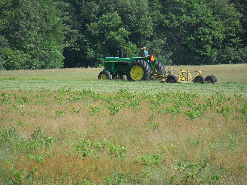 File:Moon Hill being mowed.JPG