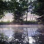 Moorbad Gmös - Teich mit Nebel.jpg