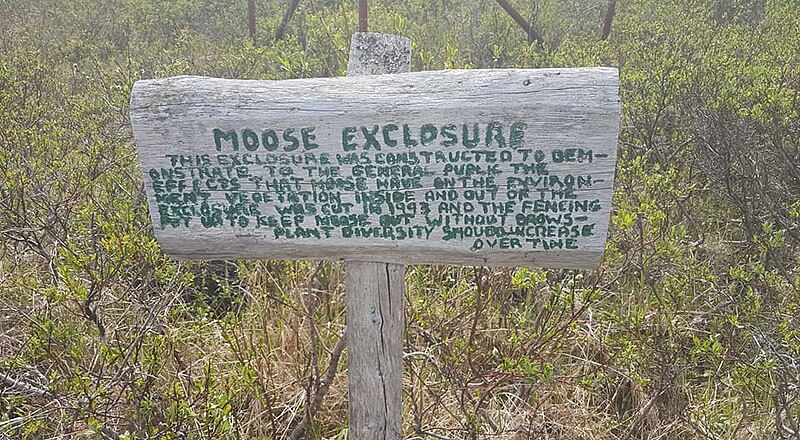 File:Moose exclosure sign.jpg