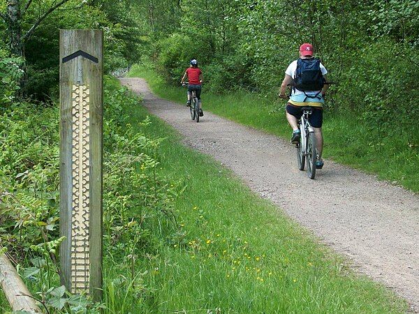 Mountain bike trail in the Forest of Dean, England