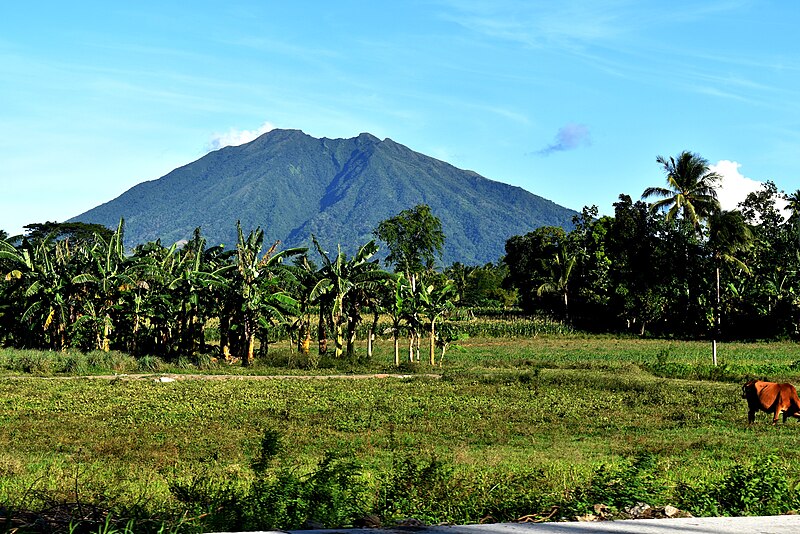 File:Mt. Asog seen at Baao.JPG