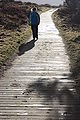 Walkway, February 2010