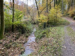 Roderbach an der Einmündung Spatzendelle