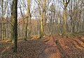 Čeština: Národní přírodní památka Medník nedaleko obce Hradištko pod Medníkem,okres Praha-západ - ČR English: National natural monument Medník near Hradištko pod Medníkem, Prague-West District (Czech Republic)