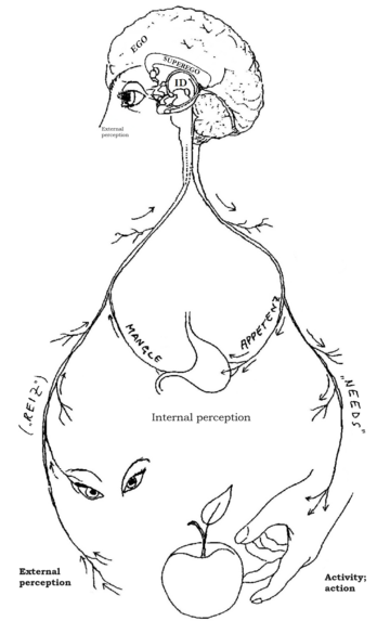 Neuropsychoanalysis