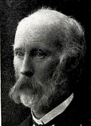 1852–1948 Nils Nilsson Skaar: Norsk politikar