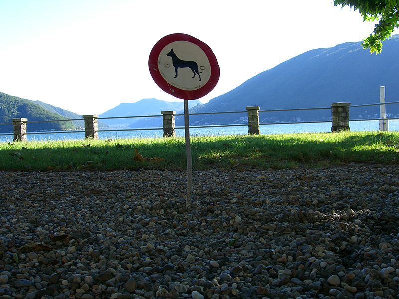 File:No Dogs sign.jpg