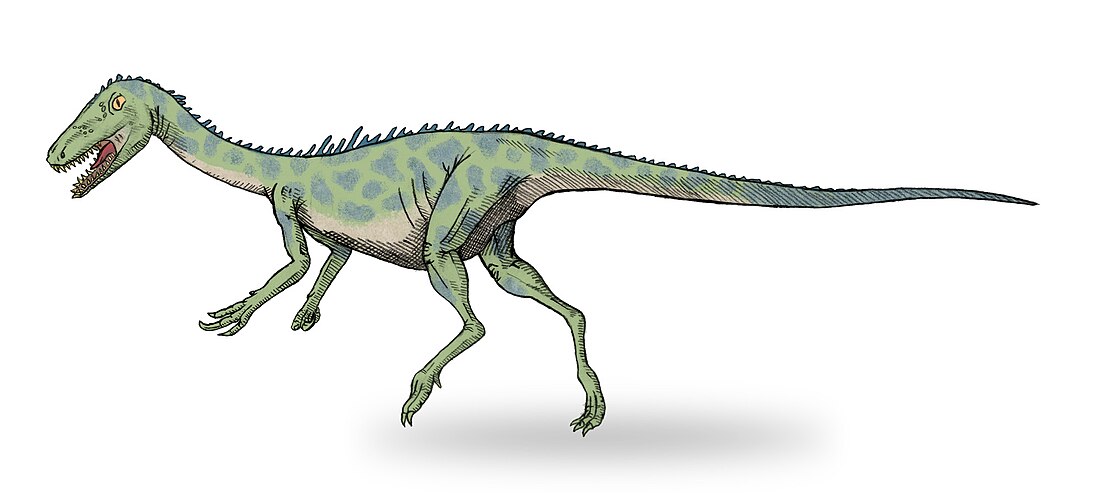 Noasaurus