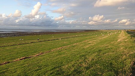 Norderfriedrichskoog 3