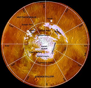 Martian Polar Ice Caps