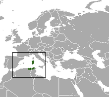 North African White-toothed Shrew area.png