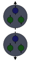 Two possible Spin-combinations for a Nukleon.