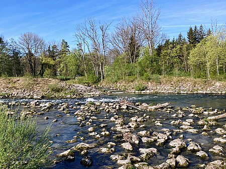 Ochsenbach (Ammer)