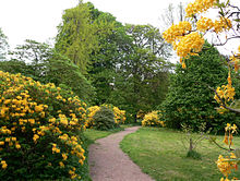 Ohrbergpark mit blühenden Azaleen im Frühjahr