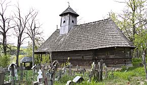 Biserica de lemn din cătunul Chituci (monument istoric)