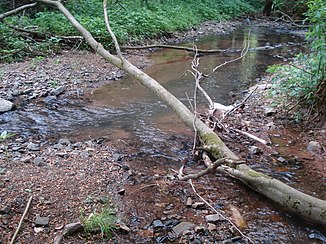 The Omersbach (left) flows into the Geiselbach (right)