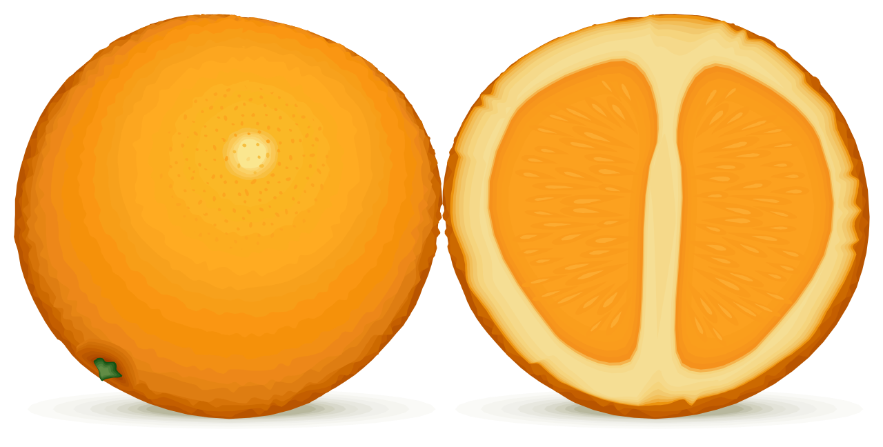 Download File Orange Fruit Svg Wikimedia Commons