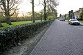 Overzicht hagen langs bestrating - Amsterdam - 20535246 - RCE.jpg