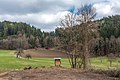 English: Shooting stand, field, meadow and forest at «Am Kåte Deutsch: Schießstand, Acker, Wiese und Wald «Am Kåte»