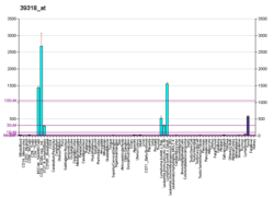 PBB GE TCL1A 39318 bei fs.png