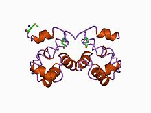 PDB 1ci4 EBI.jpg