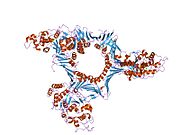 PDB 1ul1 EBI.jpg