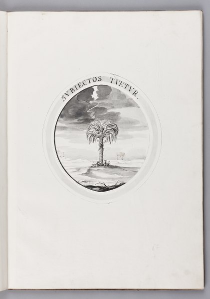 File:Palm i "Emblematica Arcis Regiae Stetinensis Delineatio" - Skoklosters slott - 93722.tif