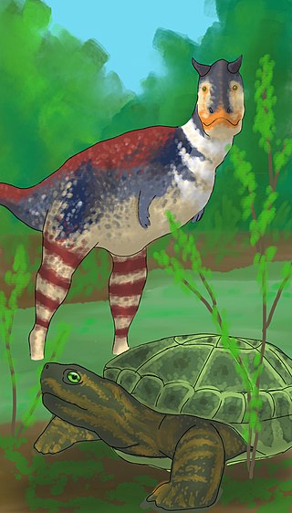 <i>Patagoniaemys</i> Extinct genus of turtles