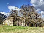 Summer linden at Pöllan Castle