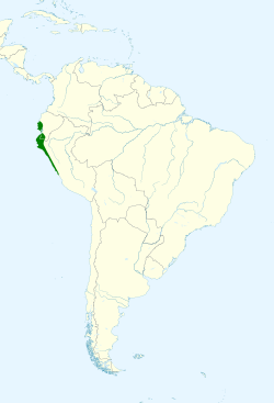 Petrochelidon rufocollaris map.svg