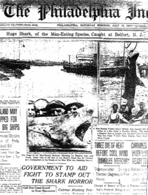 The Philadelphia Inquirer reported the capture of a "man-eating" shark off the Jersey Shore after the attacks. PhiladelphiaInquirerJuly151916.gif